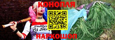 индика Лесосибирск