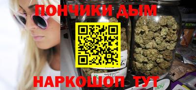 индика Лесосибирск