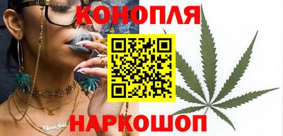 индика Лесосибирск
