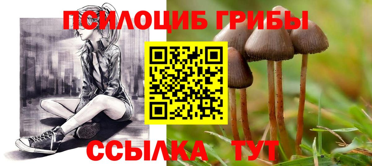 Галлюциногенные грибы Psilocybine cubensis Дзержинск