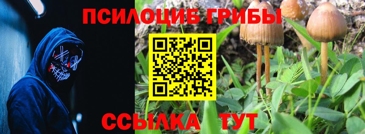Псилоцибиновые грибы Cubensis  Вход с VPN  Дзержинск  Псилоцибиновые грибы прущие грибы 